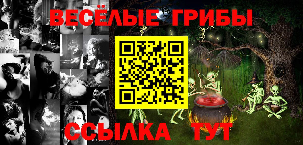 Псилоцибиновые грибы GOLDEN TEACHER Балашов